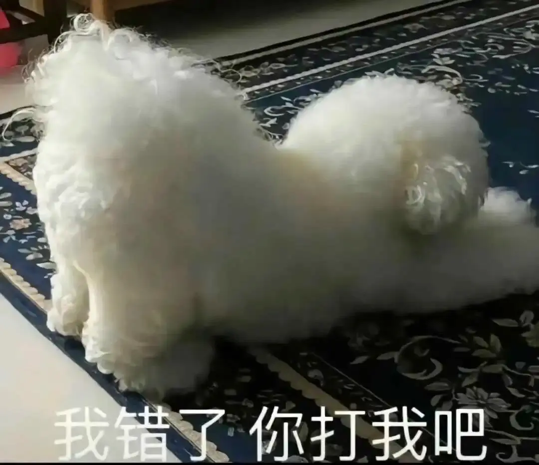 西檬之家-字母圈新人如何入圈与六大核心术语解析