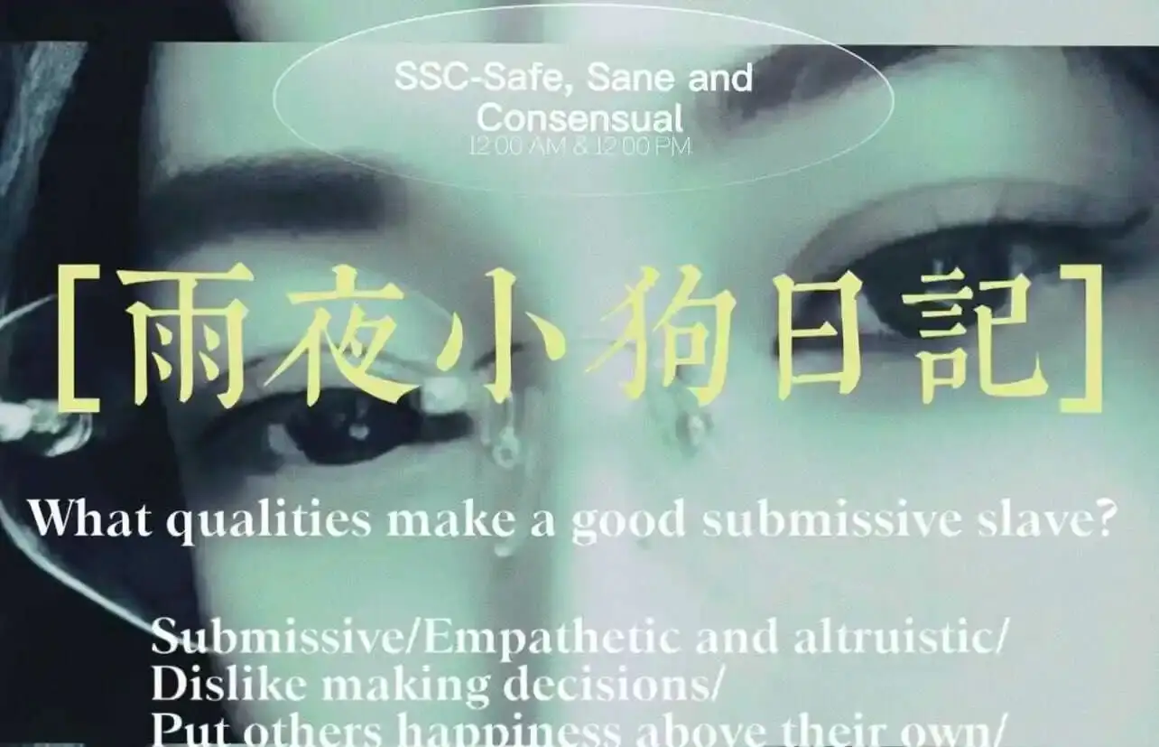 s属性 - 微信图片_20240708154450