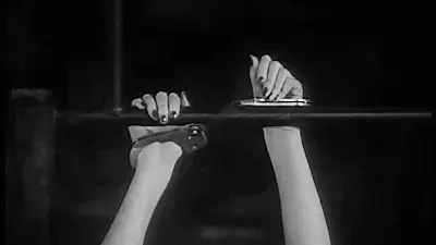 西檬之家-Dom/Sabir 各角色互虐指南(附实时在线计量)