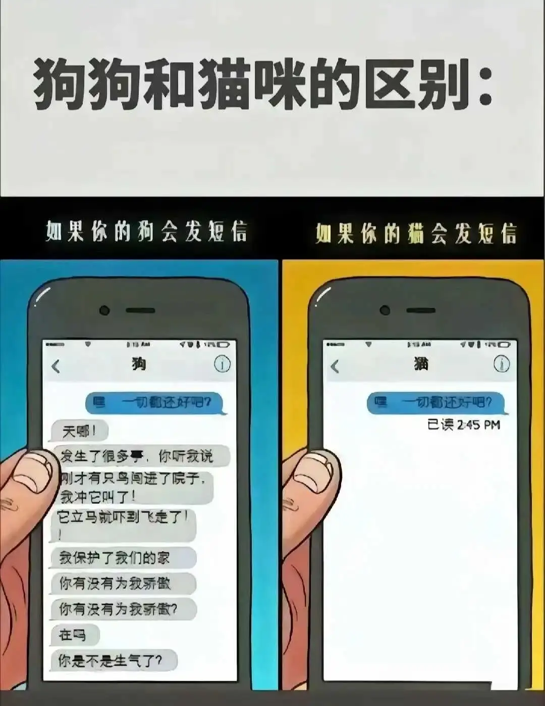 恋足癖 - 微信图片_20250713011414