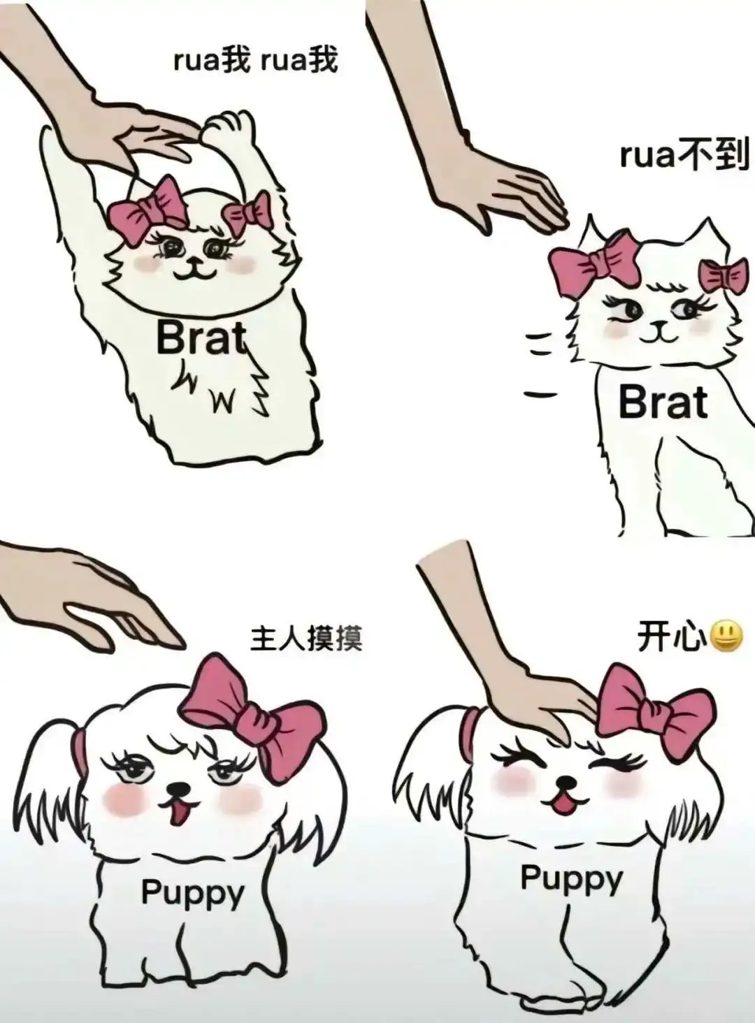 k9犬系 - 2023_12_05_21_27_IMG_9364