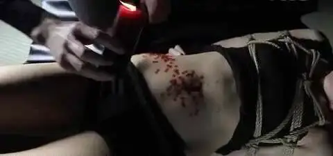 西檬之家-字母圈的TK是什么意思？