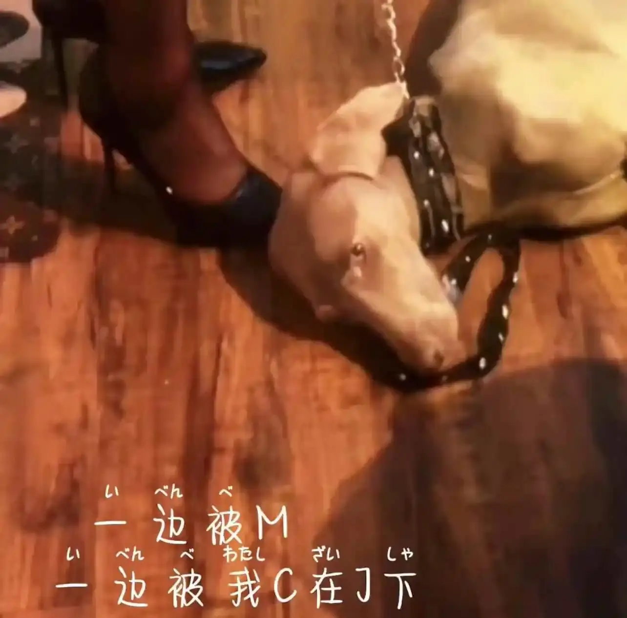 西檬之家-新人入圈指南：BDSM核心术语与安全实践