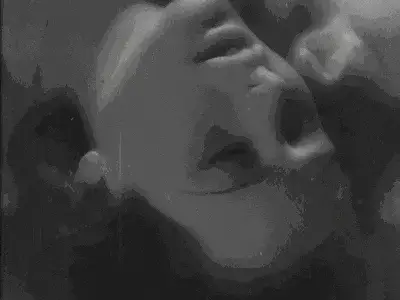 k9犬系 - 2025-11-13 233215