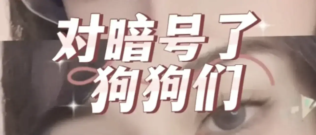 西檬之家-字母圈Sp实践指南