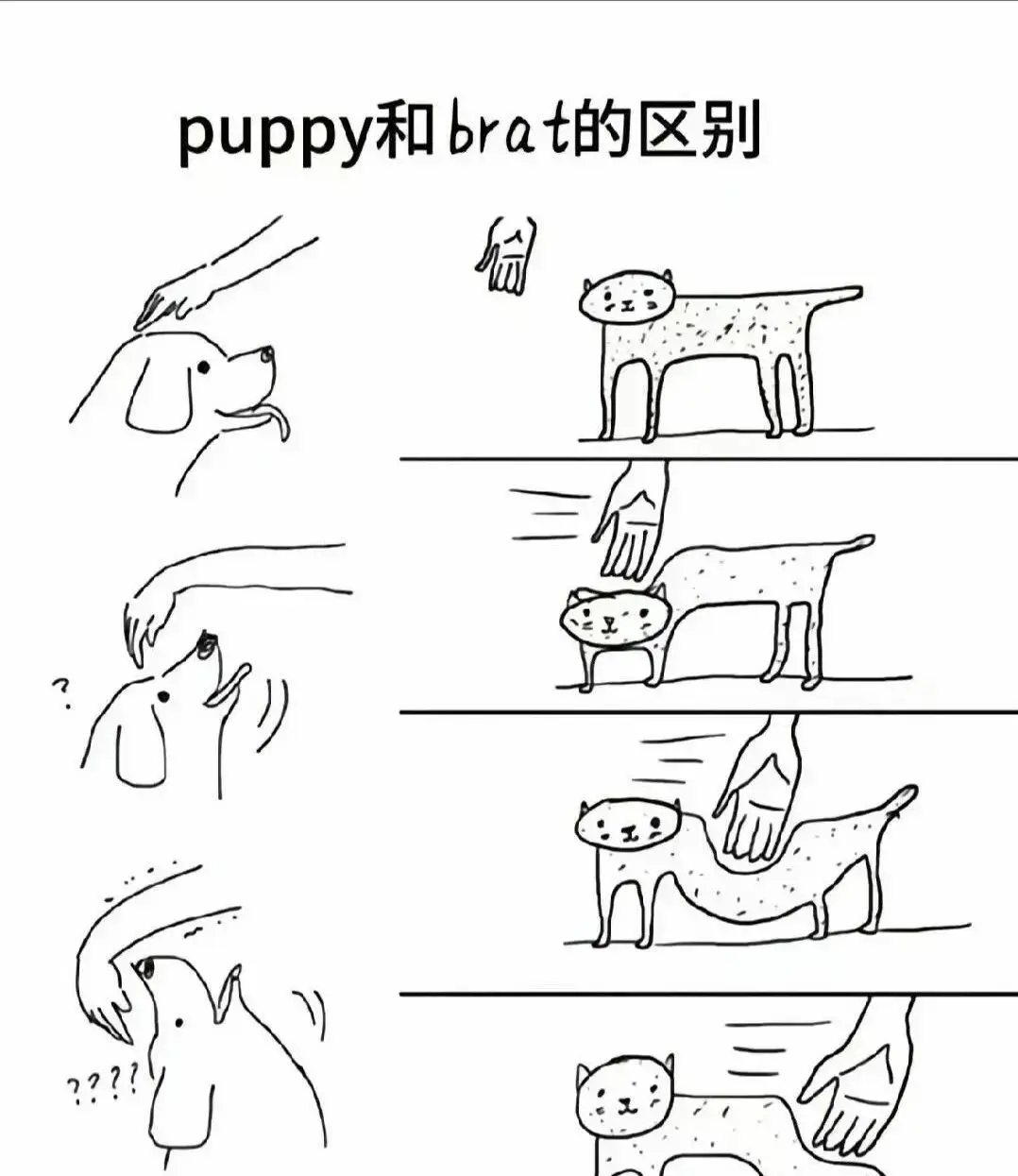 S倾向 - 微信图片_2025-11-13_180940_765
