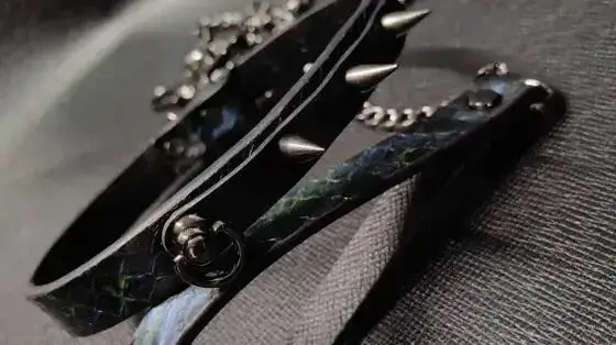 西檬时光-字母圈新人指南：从入门到精通的BDSM术语解析