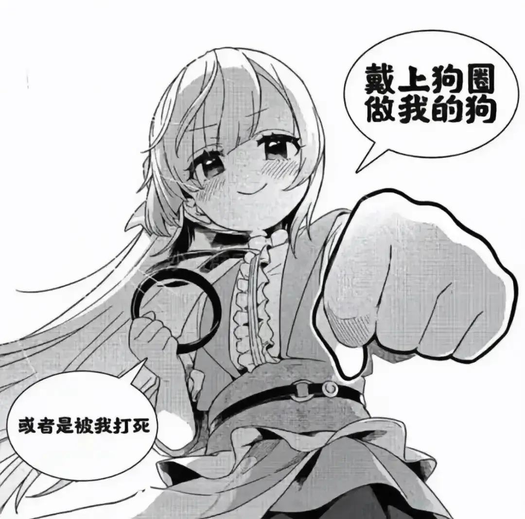 SM亚文化 - 2025-11-13 235937