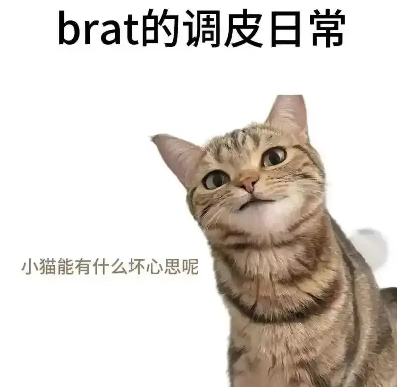 S - 微信图片_20251203212836_109_19