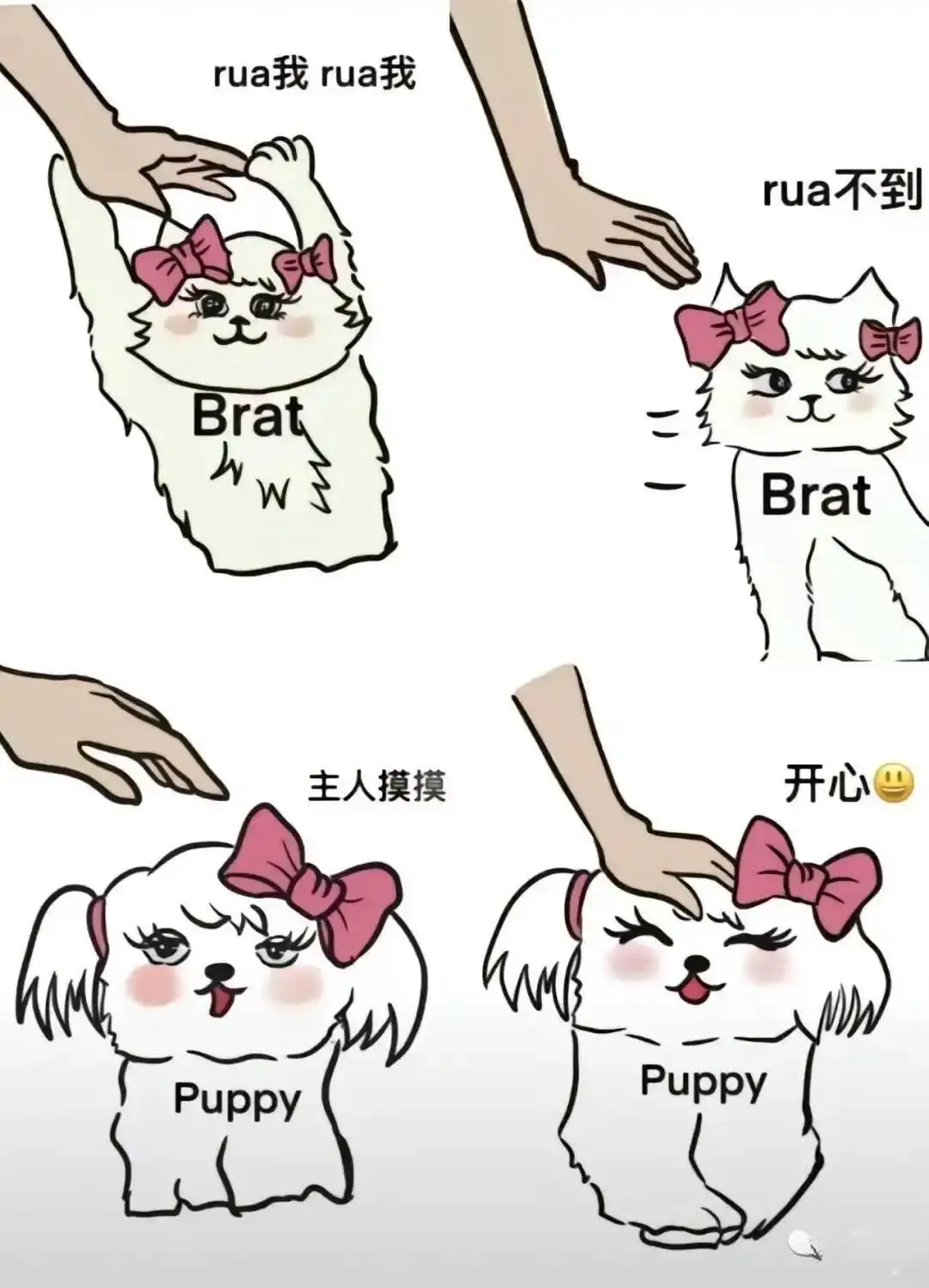 西檬之家-BDSM新人入圈指南：从基础术语到安全实践